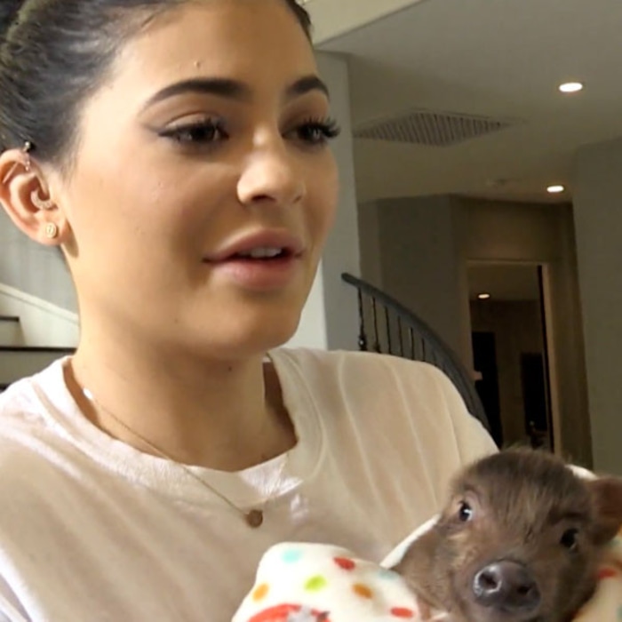 Kylie Jenner Looks Back At Her Infamous Is That A Chicken